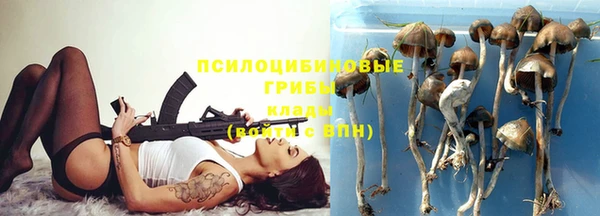 спайс Алексеевка