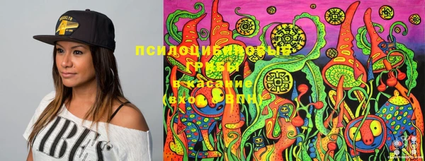 таблы Алексин