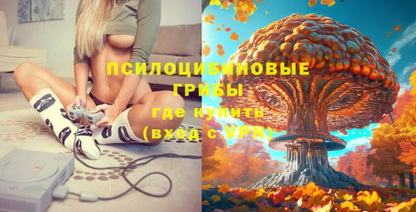 спайс Алексеевка
