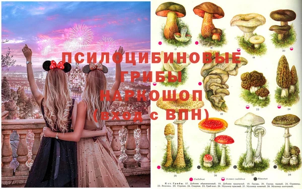 спайс Алексеевка