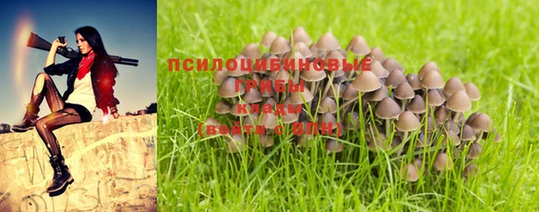 таблы Алексин