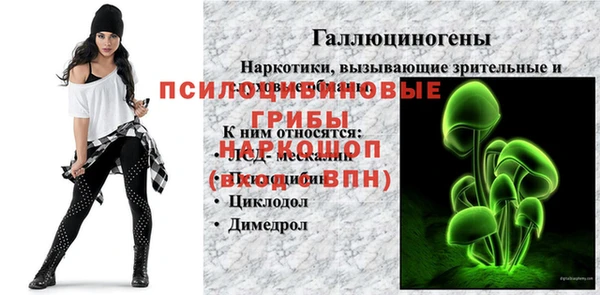 спайс Алексеевка